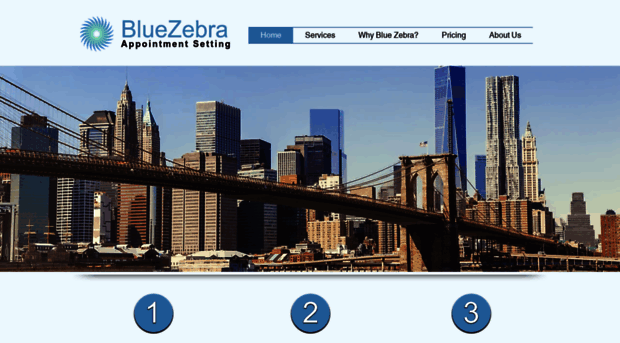 bluezebraappointmentsetting.com