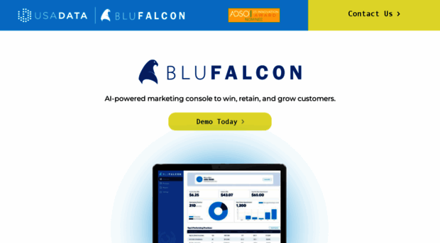 blufalcon.ai