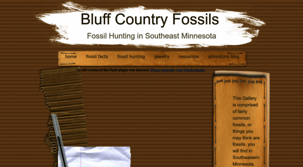 bluffcountryfossils.net