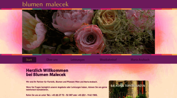 blumen-malecek.at