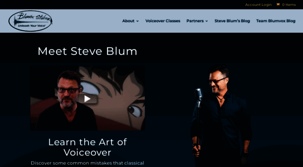 blumvoxstudios.com