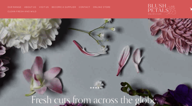 blush-petals.com.au