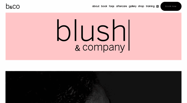 blushandco.net