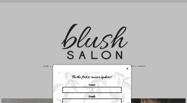 blushsalonfargo.com