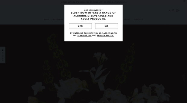 blushshopping.com