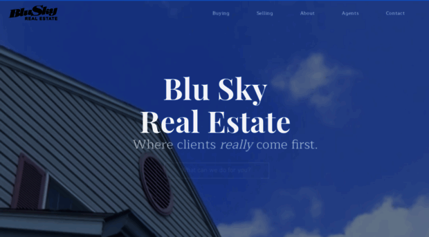 bluskyrealestate.co