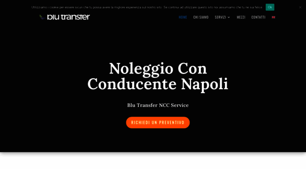 blutransfer.com