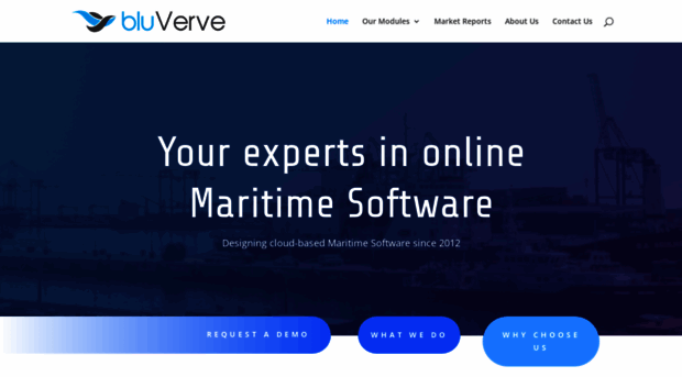 bluverve.com