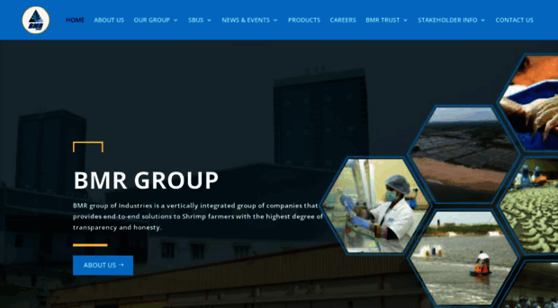 bmrgroups.com