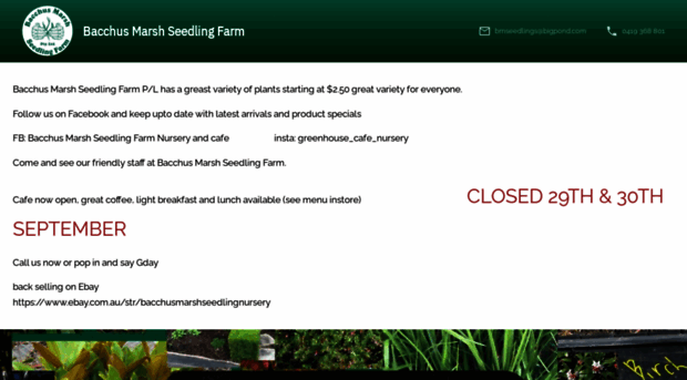 bmseedlingfarm.com.au