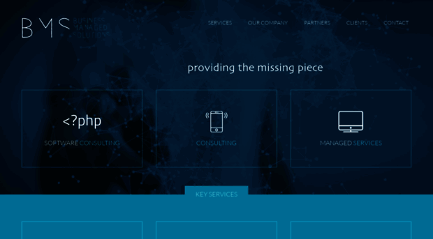 bmsit.net
