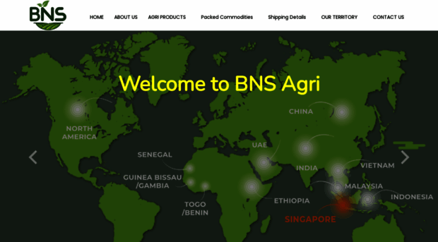 bnsagri.com