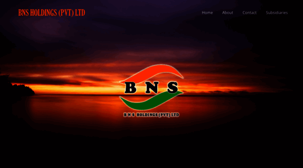 bnsholdings.com