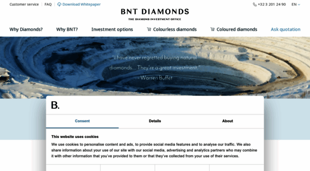 bntdiamonds.com