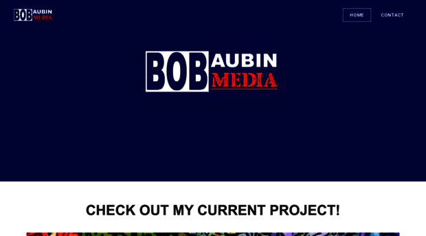 bobaubin.com