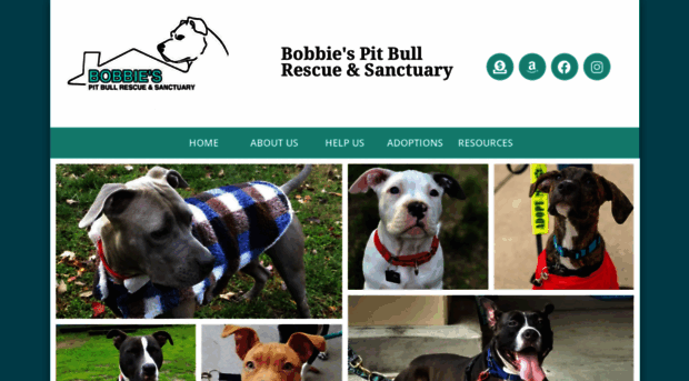 bobbiespitrescue.org