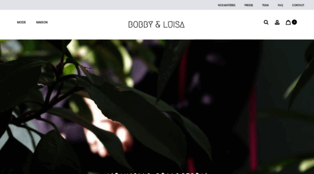 bobbyetluisa.com