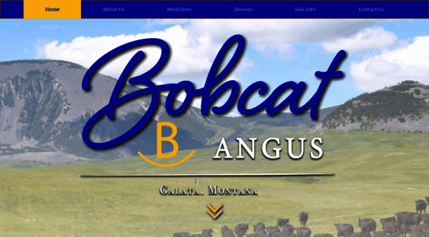 bobcatangus.com