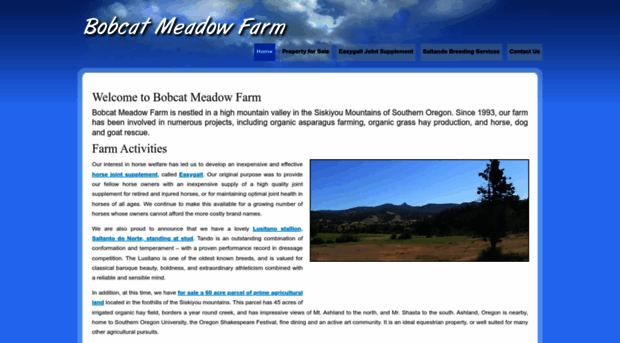 bobcatmeadowfarm.com