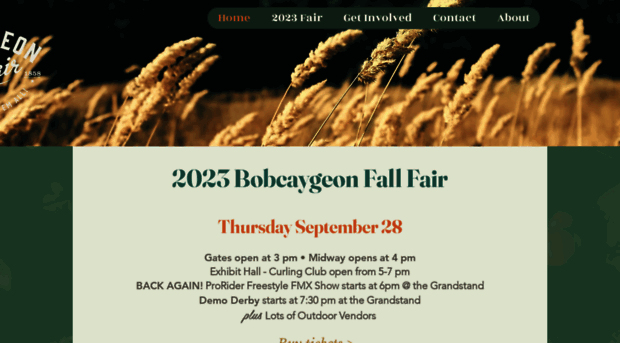 bobcaygeonfair.com