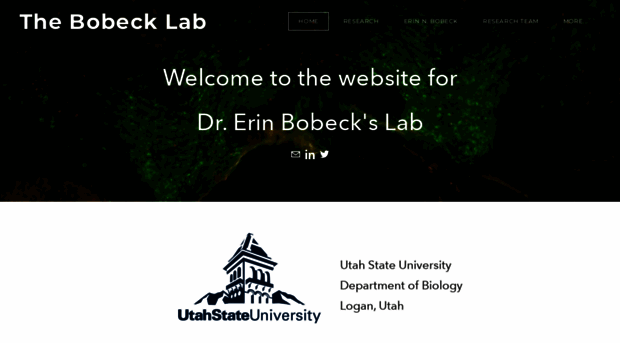 bobecklab.weebly.com