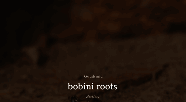 bobiniroots.com