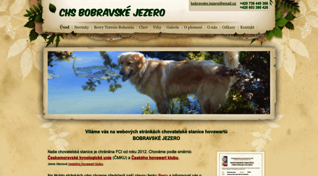 bobravske-jezero.weebly.com