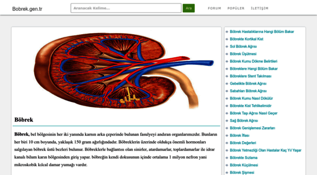 bobrek.gen.tr