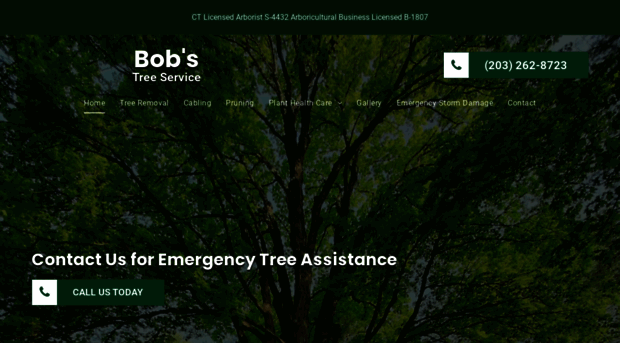 bobstreeservice.com