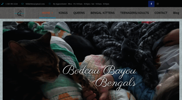 bodcaubayou.com