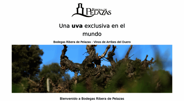 bodegasriberadepelazas.com