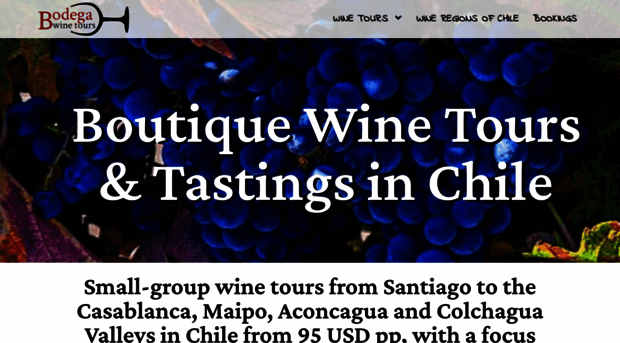 bodegawinetours.cl