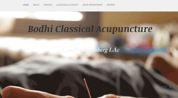 bodhiclassicalacupuncture.com