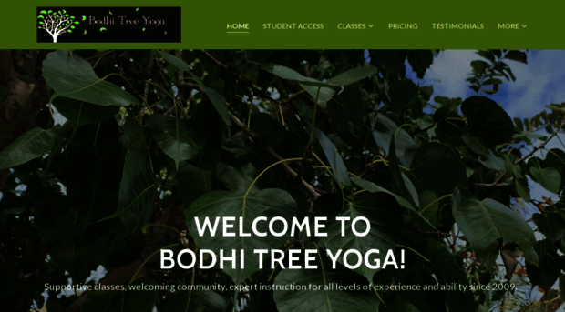 bodhitree-yoga.com