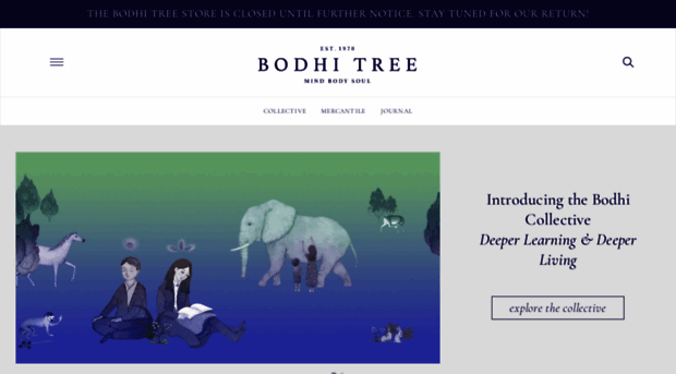 bodhitree.com