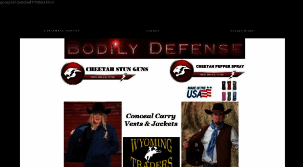 bodilydefense.com