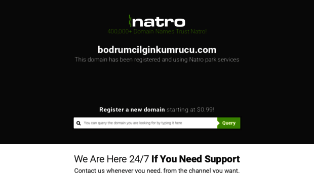 bodrumcilginkumrucu.com