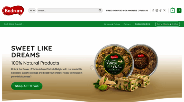 bodrumfoods.co.uk
