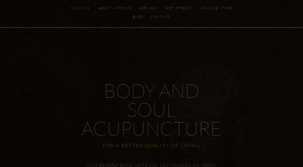 bodyandsoulacupuncture.com