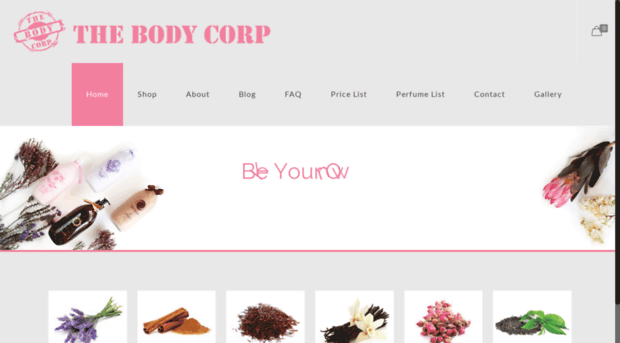 bodycorp.co.za