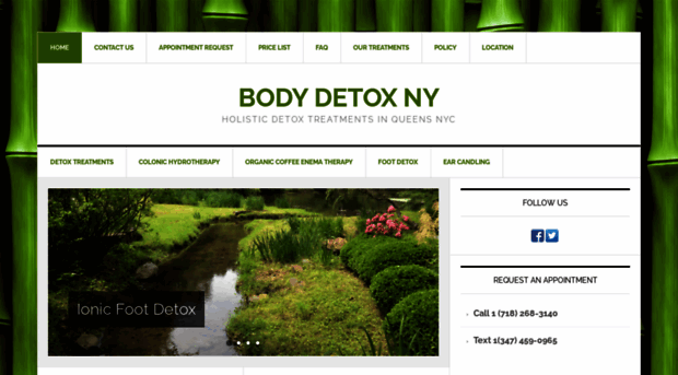 bodydetoxny.com