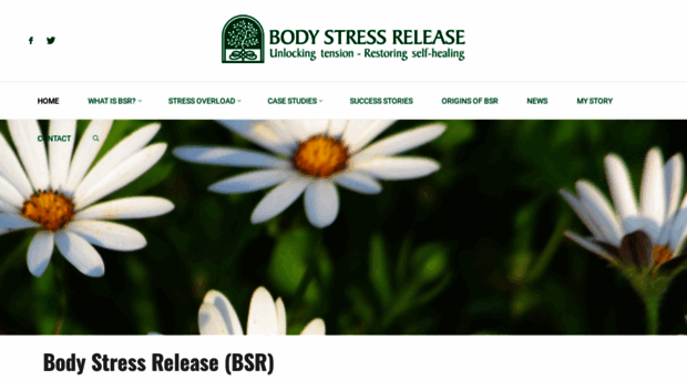 bodystressreleasesa.co.za