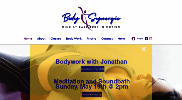 bodysynergie.com