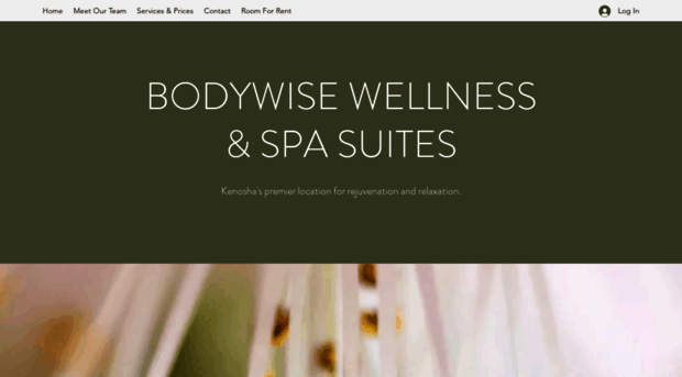 bodywisekenosha.com