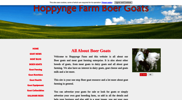 boer-goats-farmstay-bed-breakfast.com