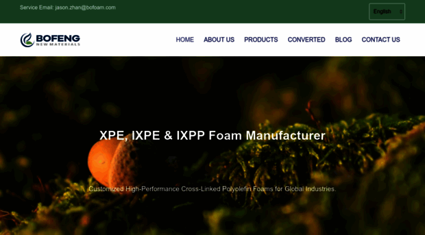bofoam.com