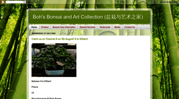 bohbonsai.com