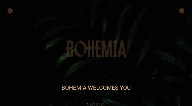 bohemiabrooklyn.com