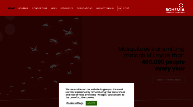 bohemiaconsortium.org