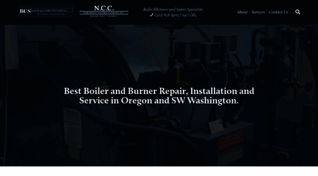 boilerandcombustionservice.com